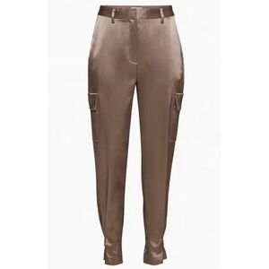 Aritzia BaBaton Refined Cargo Pants Deep Taupe SOLD OUT